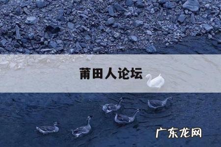 莆田人论坛-福建莆田论坛