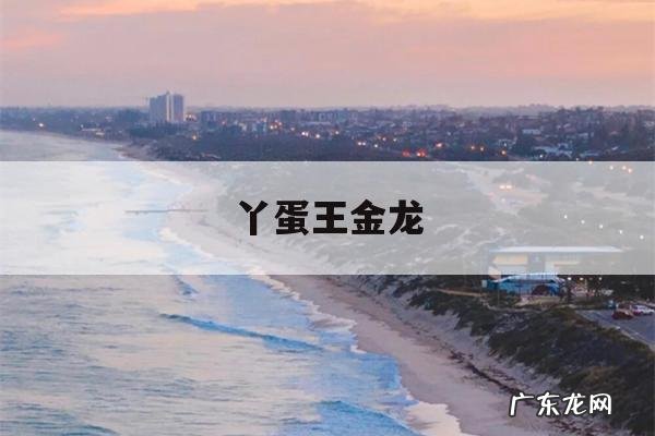 丫蛋王金龙-丫蛋王金龙什么时候离的婚