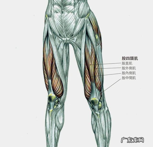 每天跳绳2000个对膝盖有伤害吗 每天跳绳500下对膝盖的影响