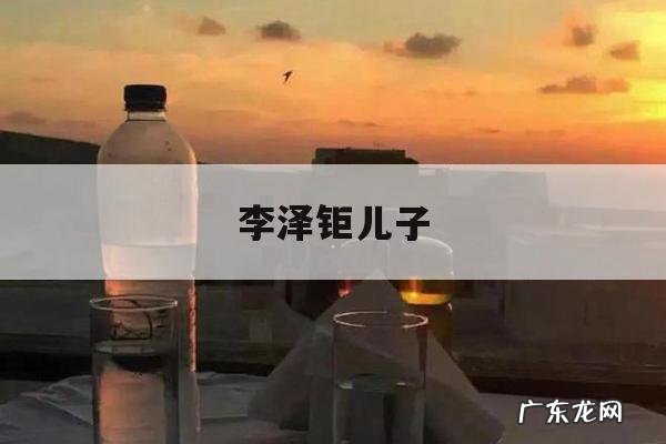 李泽钜儿子-李泽钜有几个子女