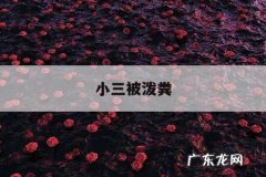 小三被泼粪-往小三泼大便,犯法吗