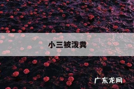 小三被泼粪-往小三泼大便,犯法吗