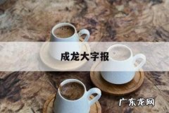 成龙大字报-成龙duangduang