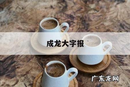 成龙大字报-成龙duangduang