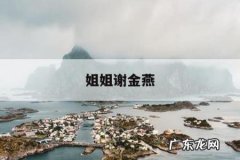 姐姐谢金燕-谢金燕的全部资料