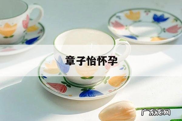 章子怡怀孕-章子怡怀孕了吗