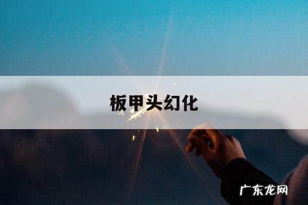 板甲头幻化-海岛板甲幻化