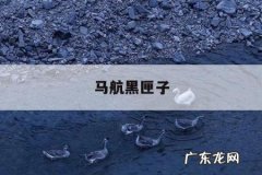 马航黑匣子-马航黑匣子录音哭声视频