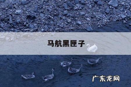 马航黑匣子-马航黑匣子录音哭声视频