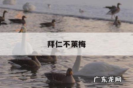 拜仁不莱梅-拜仁不莱梅12比0