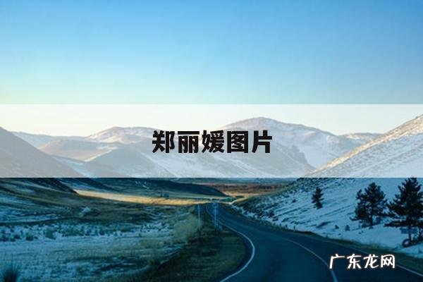 郑丽媛图片的简单介绍