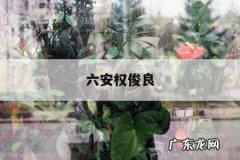 六安权俊良-六安黄烈俊