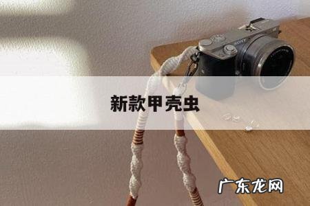 新款甲壳虫-新款甲壳虫图片