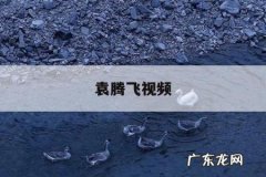 袁腾飞视频-袁腾飞全集音频