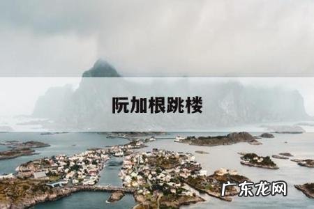 阮加根跳楼-闰土集团阮加根