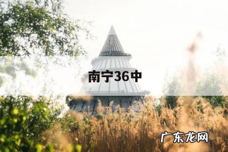 南宁36中-南宁36中学录取分数线