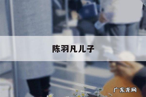 陈羽凡儿子-陈羽凡爷爷