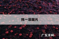 韩一菲图片-一菲个人资料