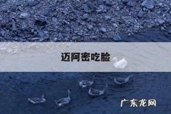 迈阿密吃脸-迈阿密啃脸图片