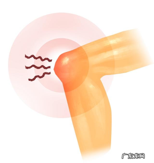 刘畊宏毽子操完整15分钟 刘畊宏毽子操4月23火遍全网