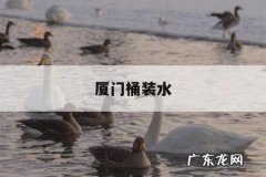 厦门桶装水-厦门桶装水厂家联系方式