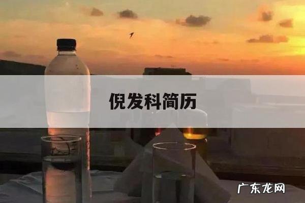 倪发科简历,倪先进简历