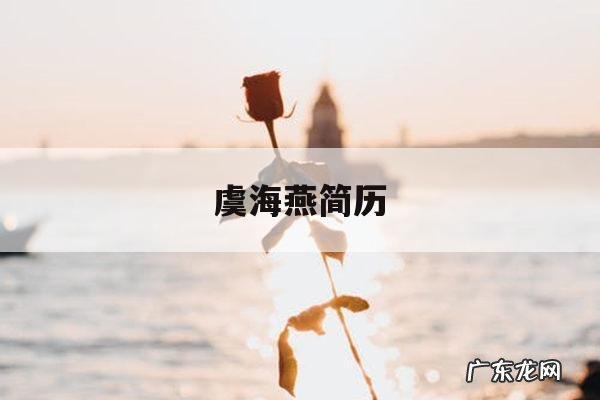 虞海燕简历，游海燕简历