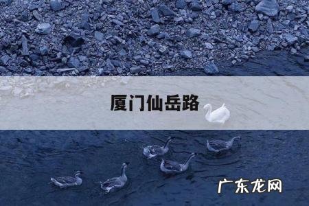 厦门仙岳路-厦门仙岳路458号松柏邮政大楼