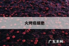 火烤癌细胞，癌细胞怕高温吗可以烤电吗