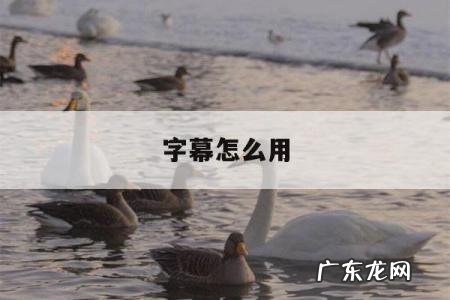 字幕怎么用,腾讯会议字幕怎么用