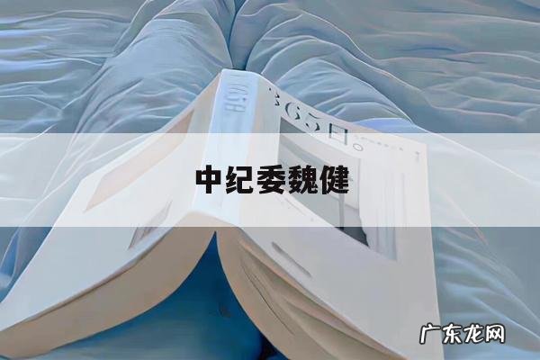 中纪委魏健的简单介绍