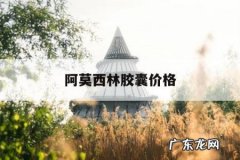 阿莫西林胶囊价格，安邦阿莫西林胶囊价格