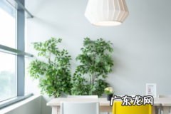 快手光合计划一周能领多少钱？怎么获得？