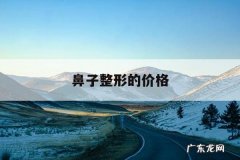 鼻子整形的价格，鼻部整形的价格