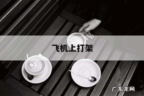 飞机上打架「飞机上打架的是哪个航空公司」