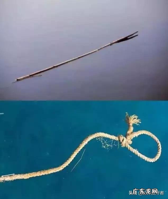 游泳游不快的原因 为啥游泳游的慢