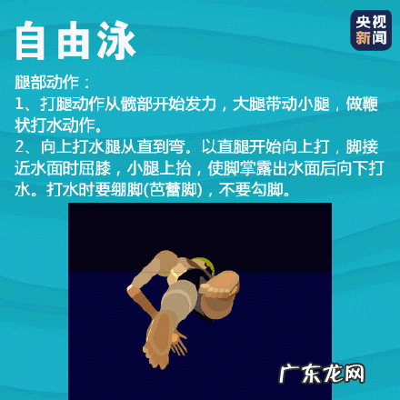 史上最全游泳速成方法 四种游泳姿势速成法看这篇就够了