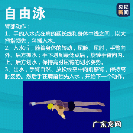 史上最全游泳速成方法 四种游泳姿势速成法看这篇就够了