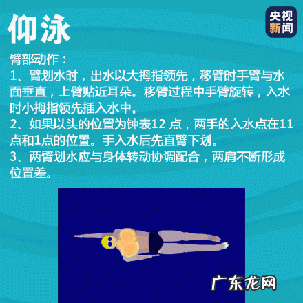 史上最全游泳速成方法 四种游泳姿势速成法看这篇就够了