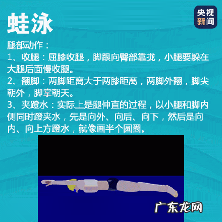 史上最全游泳速成方法 四种游泳姿势速成法看这篇就够了