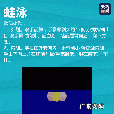 史上最全游泳速成方法 四种游泳姿势速成法看这篇就够了