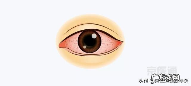 游泳的六种泳姿 游泳的最好泳姿