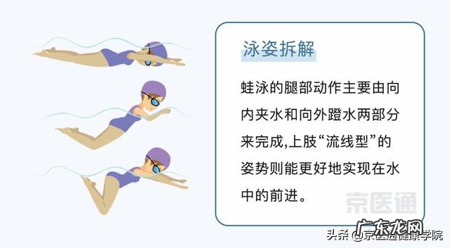 游泳的六种泳姿 游泳的最好泳姿