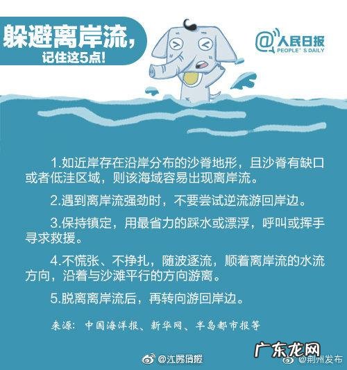 游泳知识大全及图片 游泳常见的安全知识是什么呢