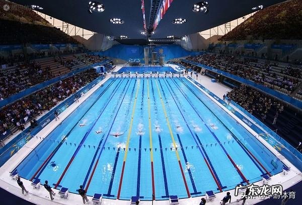 关于游泳的相关知识 体育游泳知识