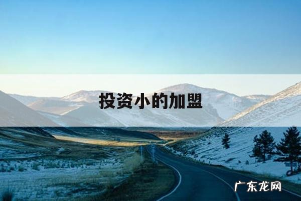 投资小的加盟「投资小的加盟店排行榜」