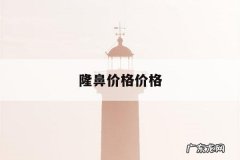 隆鼻价格价格，隆鼻价钱多少