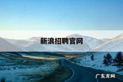 新浪招聘官网「新浪招聘岗位」