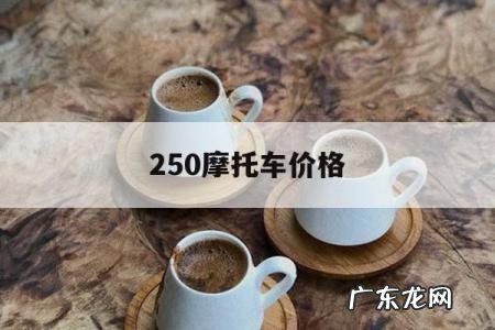 250摩托车价格,dl250摩托车价格