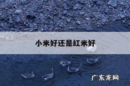 小米好还是红米好「电视机小米好还是红米好」